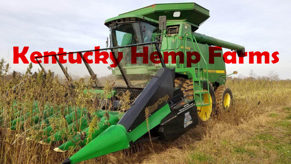Kentucky Hemp Farms - Full Spectrum CBD Oil and Isolate